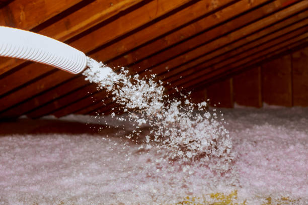 Best Best Insulation Companies  in Enon, OH