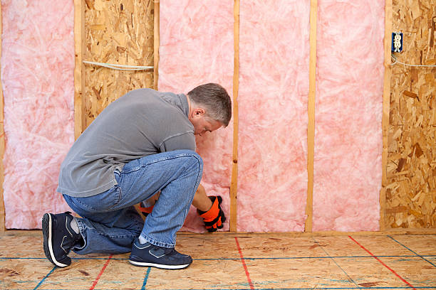 Insulation Replacement Services in Enon, OH